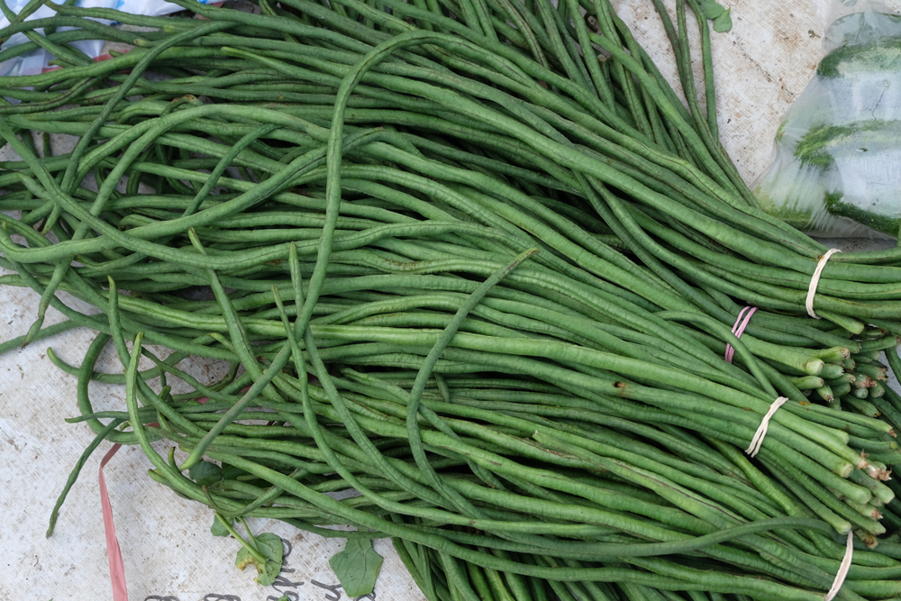 8 Manfaat Kacang Panjang yang Menarik untuk Diketahui Hello Sehat