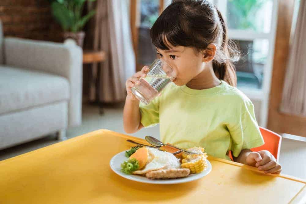 Catat Baik-Baik, Ini Peran Zat Besi dan Daftar Sumber Makanannya untuk Anak