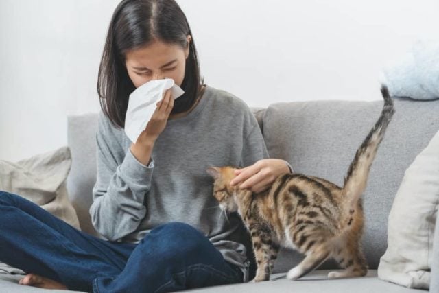 Alergi Binatang Kucing dan Anjing: Penyebab dan Cara Mengatasinya