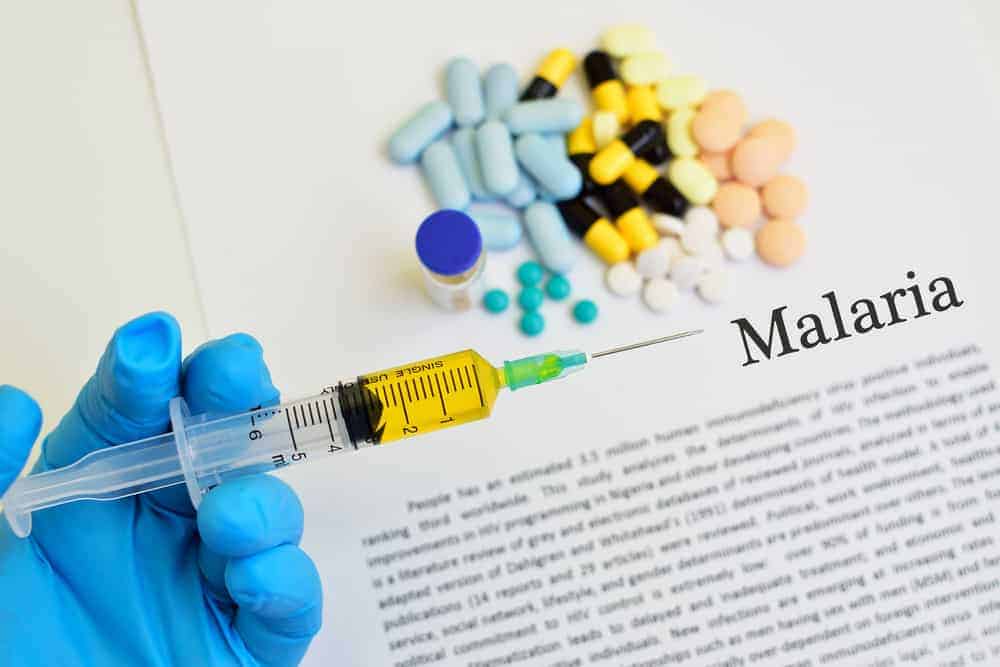 Pilihan Obat Malaria, Mulai dari Medis hingga Alami