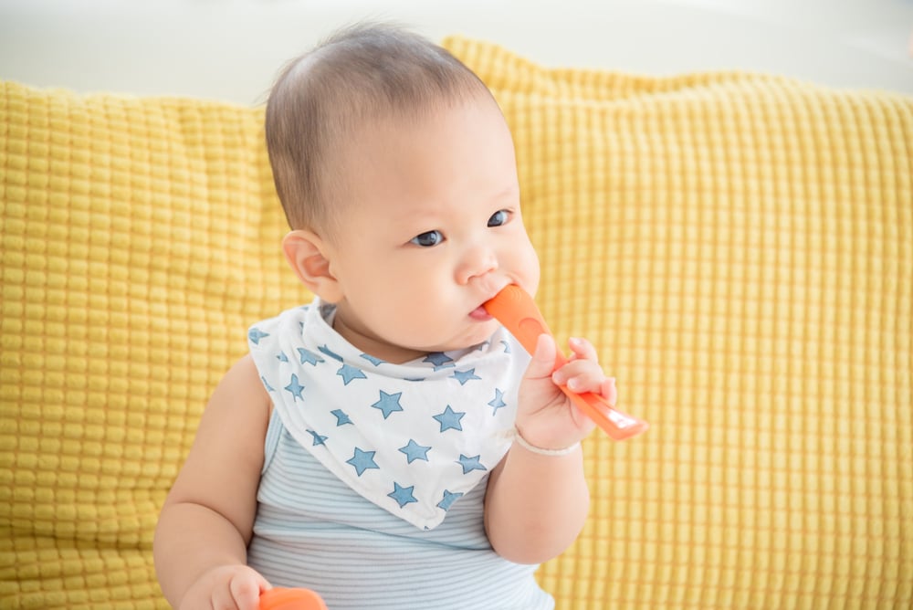 teether bayi mainan gigitan bayi