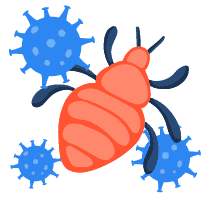 Infeksi Akibat Serangga