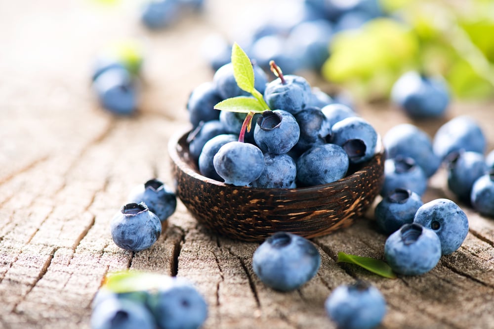 manfaat blueberry kandungan khasiat