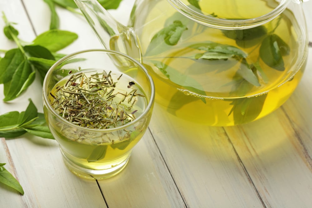 manfaat kandungan khasiat teh hijau