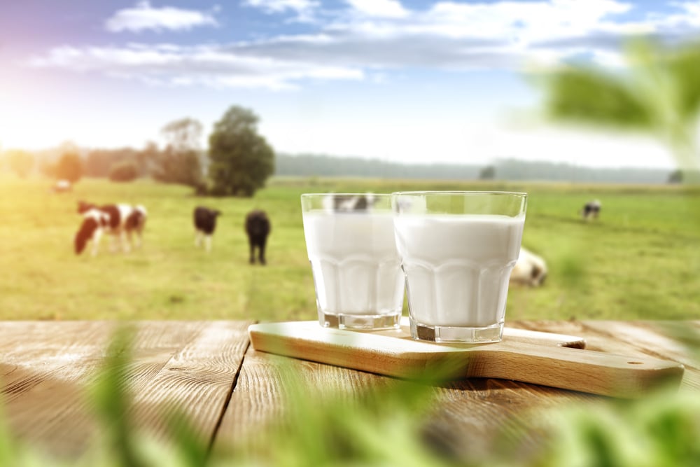 15 Manfaat Susu Sapi untuk Kesehatan Tubuh Anda