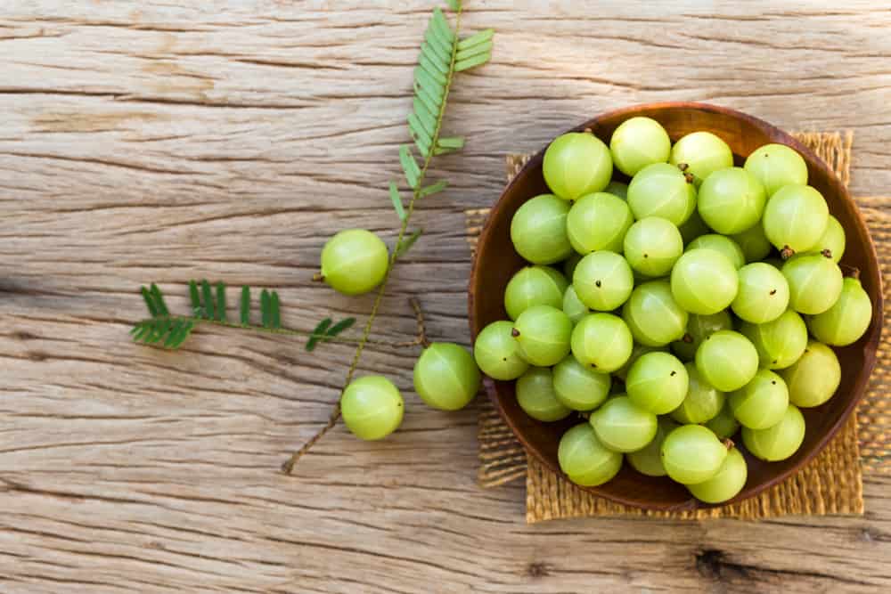 Mirip Buah Cermai, Simak 6 Manfaat Buah Malaka yang Sayang untuk Dilewatkan