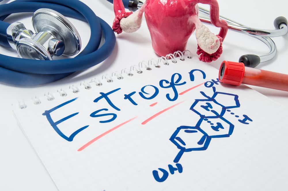 6 Fungsi Hormon Estrogen pada Wanita dan Tips Meningkatkannya