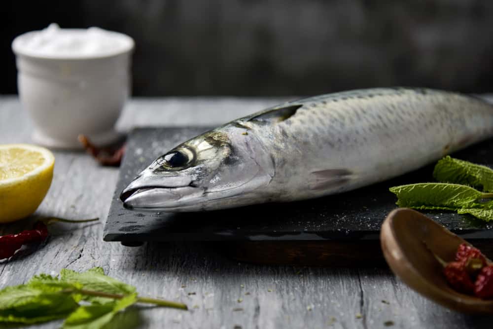 6 Manfaat Ikan Tenggiri yang Dapat Mencegah Berbagai Penyakit, Termasuk Kanker