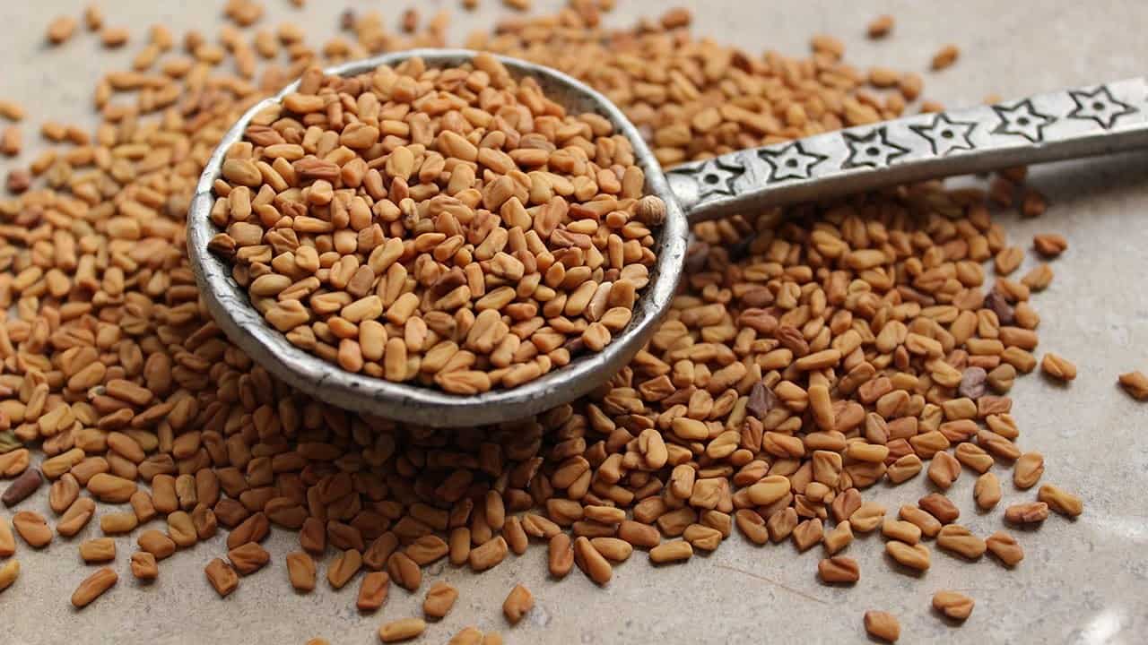 Fenugreek, Bahan Herbal yang Punya Segudang Manfaat