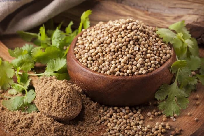 manfaat ketumbar adalah herbal