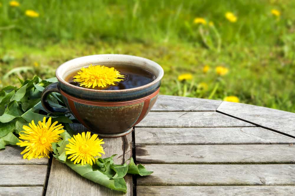 7 Manfaat Kesehatan Dandelion, Plus Cara Penggunaannya