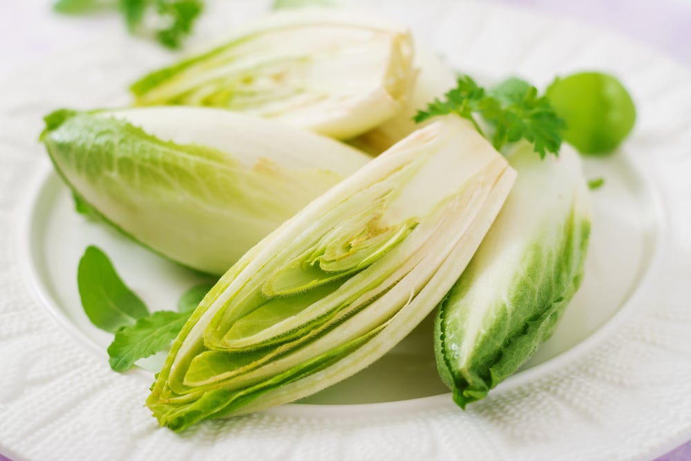 Chicory