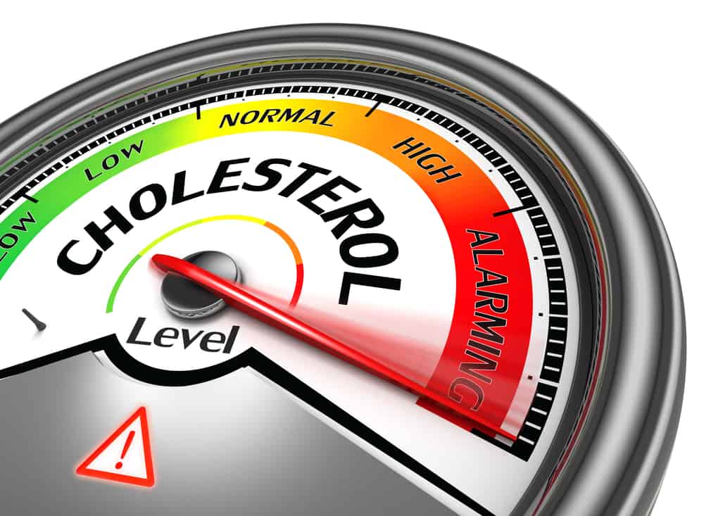 Mengenal Dampak Buruk Kolesterol LDL dan Cara Mengontrolnya