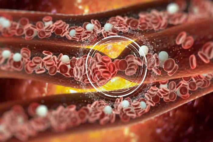 Mengenal Plasma Darah Dan Fungsi Pentingnya Untuk Tubuh