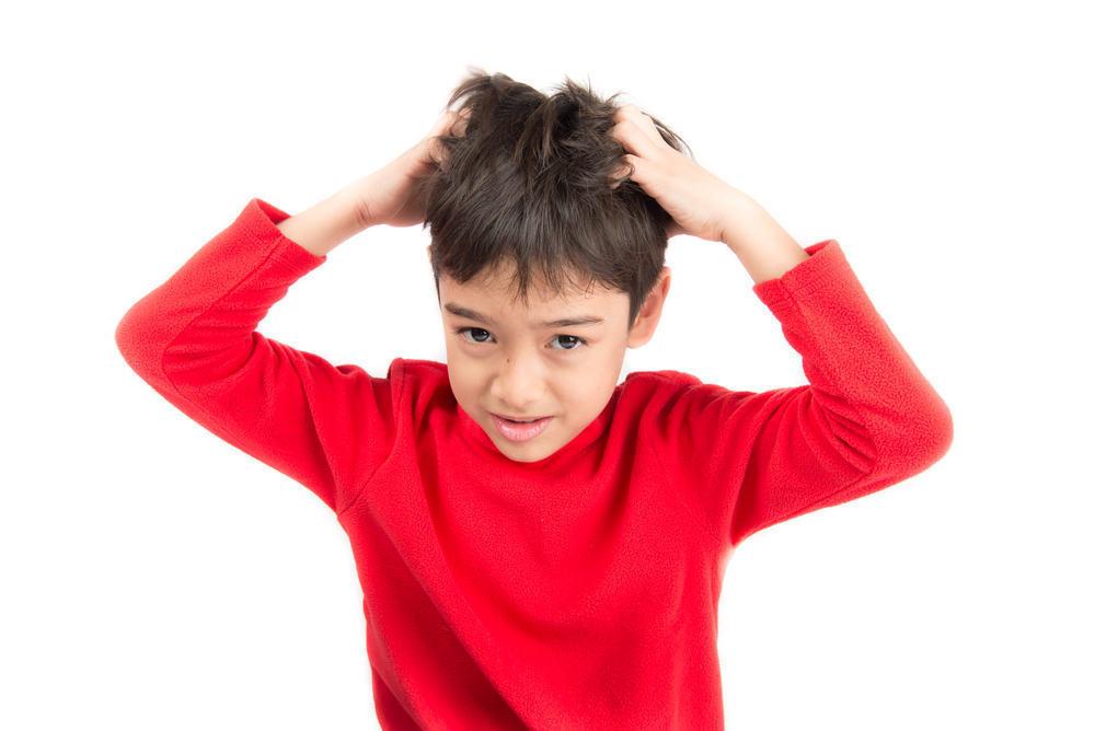 Kutu Rambut