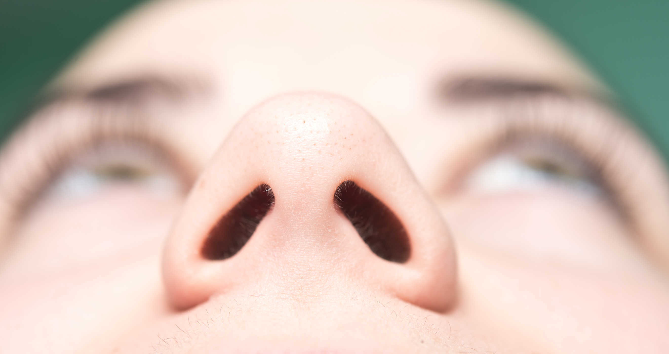 Bentuk Hidung dan Hubungannya Dengan Kesehatan Anda