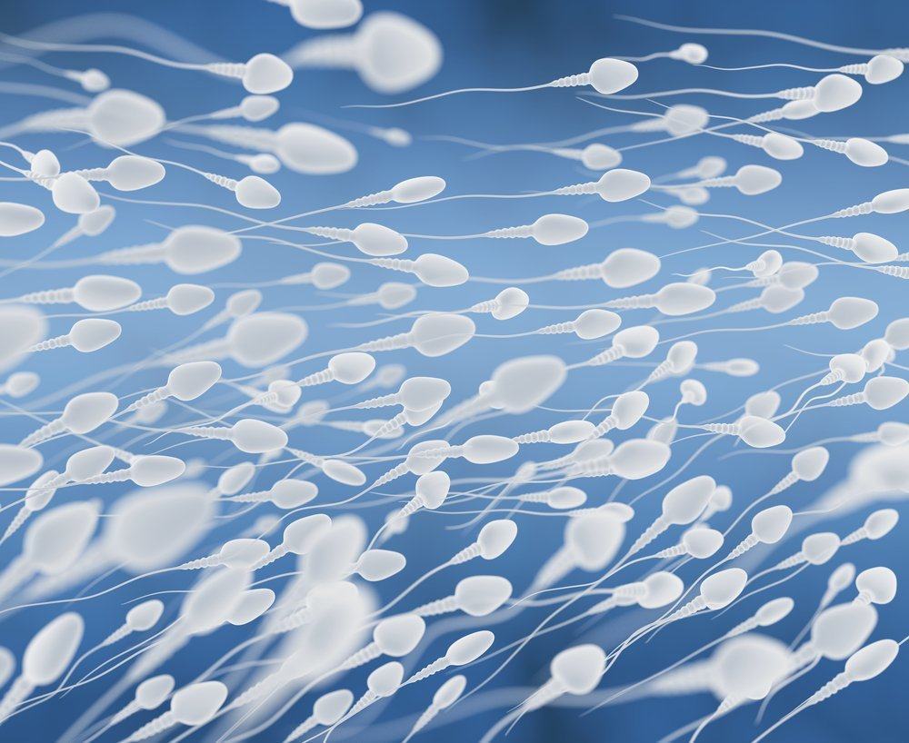 Aglutinasi Sperma