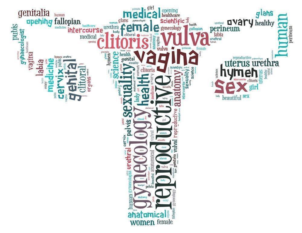 Seperti Apa Bentuk Vagina yang Normal dan Sehat?