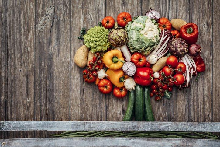 Seberapa Sehatkah Menjadi Seorang Vegan?
