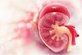 Pyelonephritis (Kidney Infection)