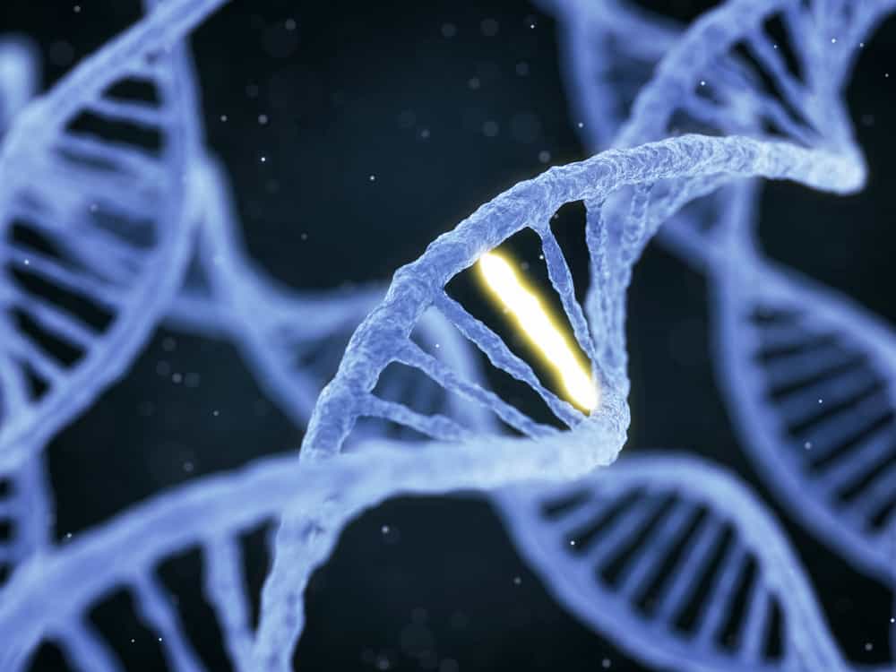 Nutrigenomik: Mengonsumsi Makanan Sesuai Dengan Gen Anda