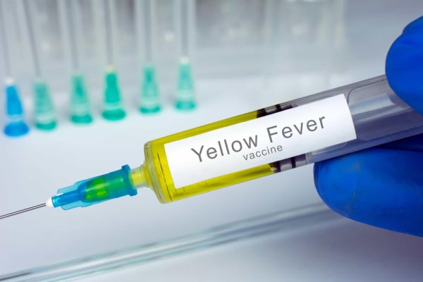Yellow Fever (Demam Kuning): Gejala, Penyebab, Dan Pengobatan