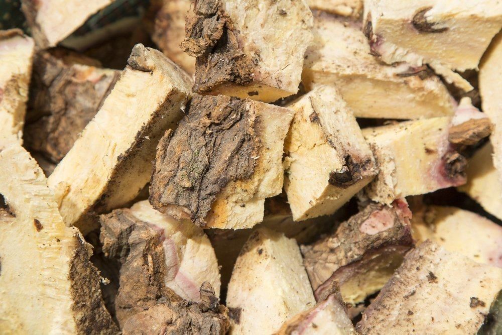 Dari Obat Sifilis Hingga Penyakit Kulit, Simak 7 Manfaat Sarsaparilla