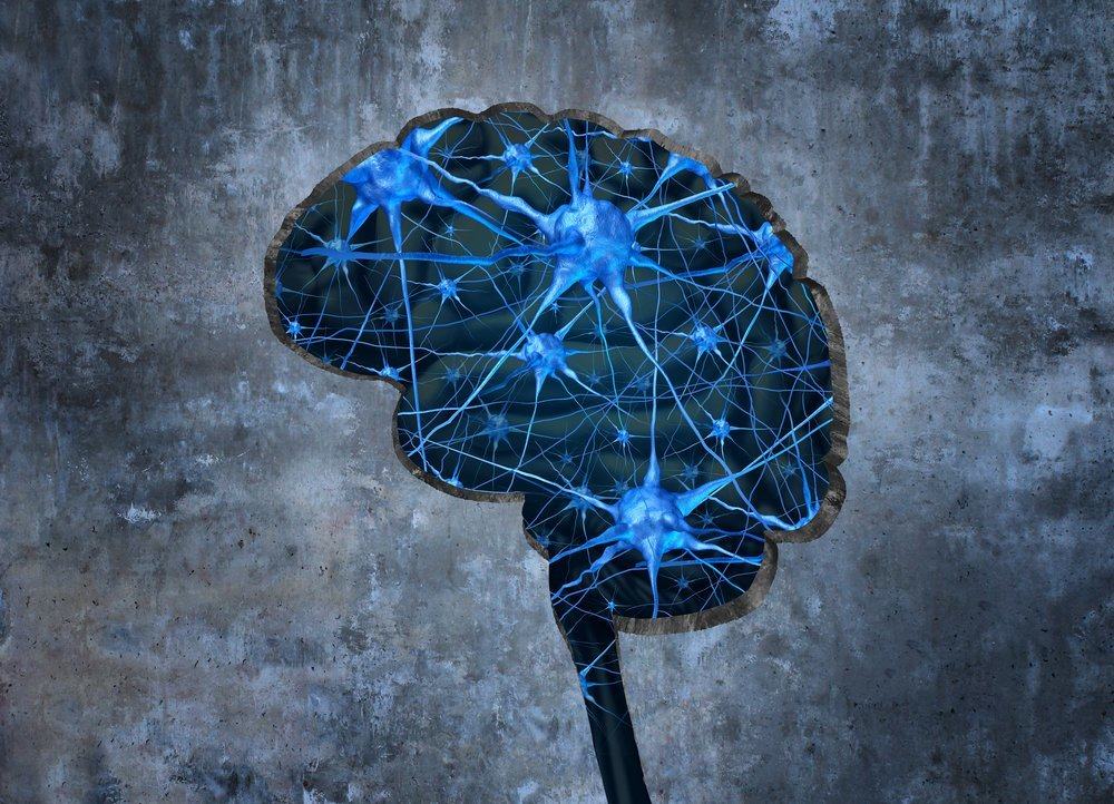 Bagaimana Ingatan dalam Otak Bisa Terbentuk?