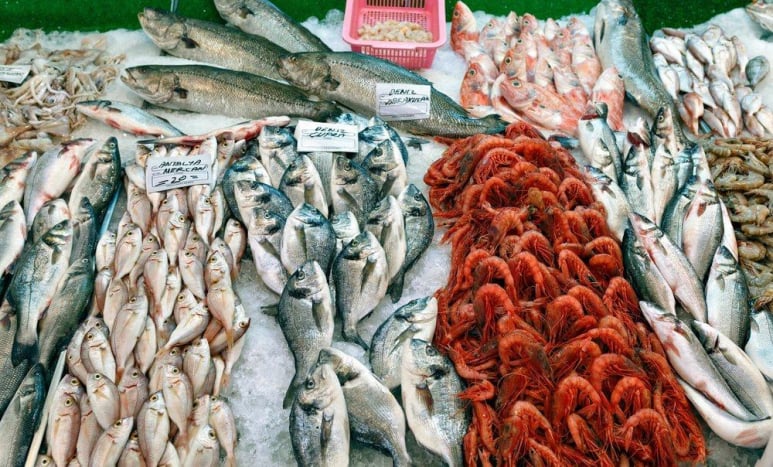 kandungan merkuri seafood