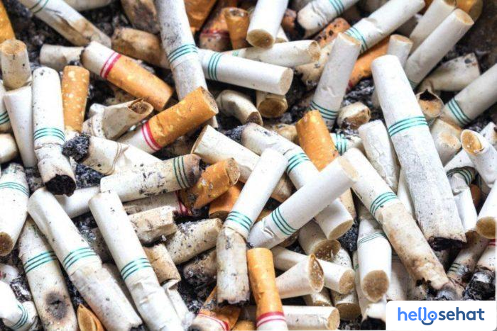12 Bahaya Merokok pada Kesehatan Tubuh Anda - Hello Sehat
