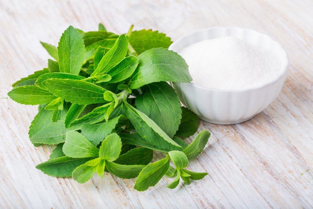 tanaman stevia pengganti gula