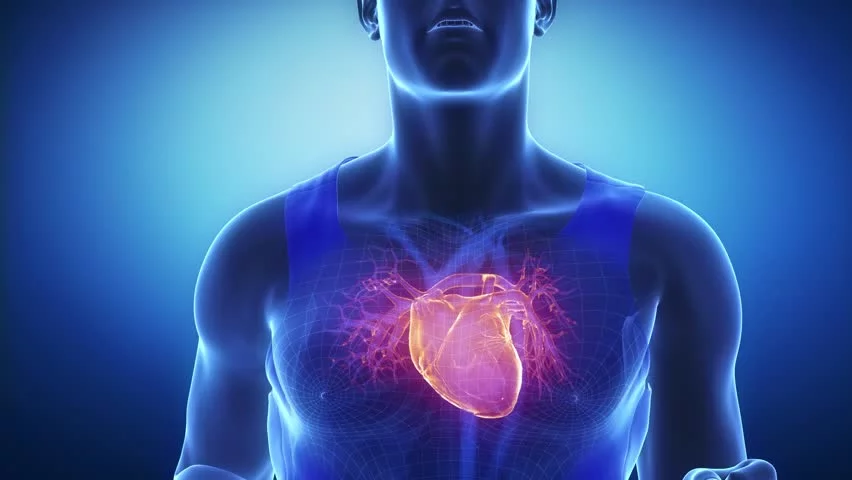 Ketahui Berbagai Kemungkinan Penyebab Jantung Bengkak