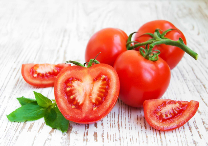 tomat apakah penyebab asam urat manfaat sayuran merah