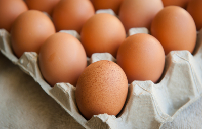 telur sebagai pengganti daging