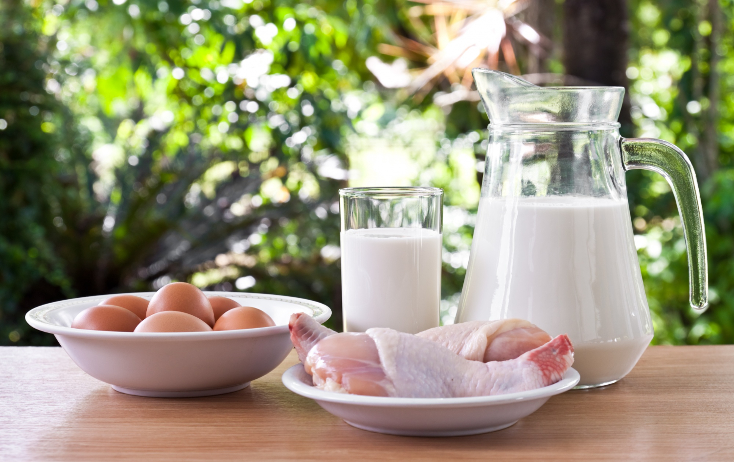 makanan yang mengandung bahan kimia kontaminasi daging susu telur