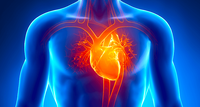 Kenali Bahaya Efusi Perikardium, Saat Jantung 'Terendam' Air