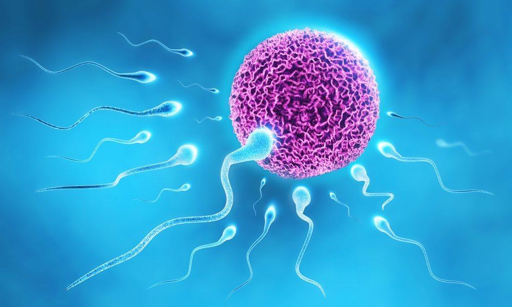 Mengapa Suhu Panas Bisa Merusak Sperma? Cari Tahu Sebabnya