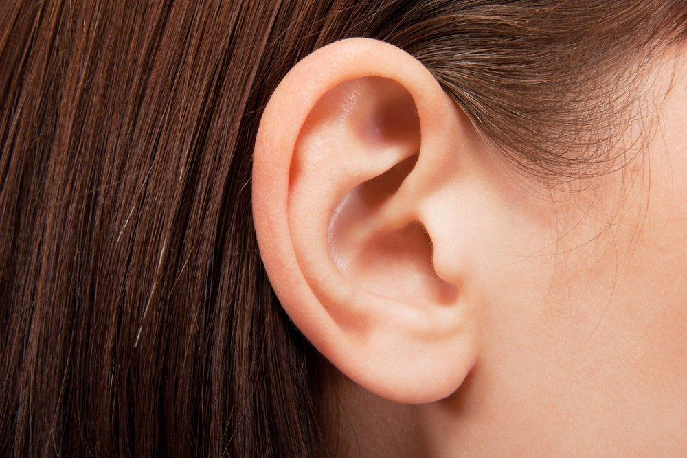 kesehatan telinga