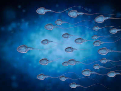 sperma-encer-bisa-hamil