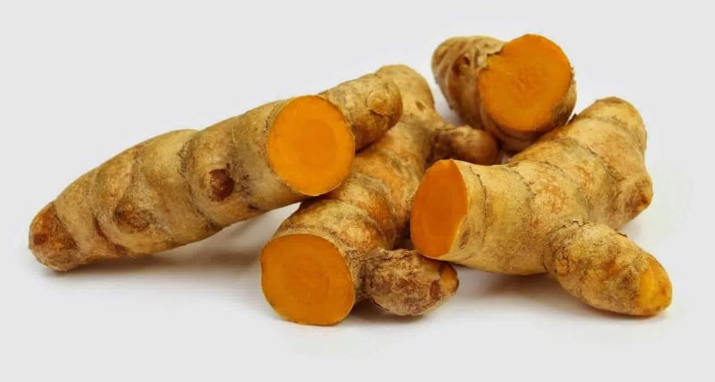 manfaat temulawak untuk kesehatan obat