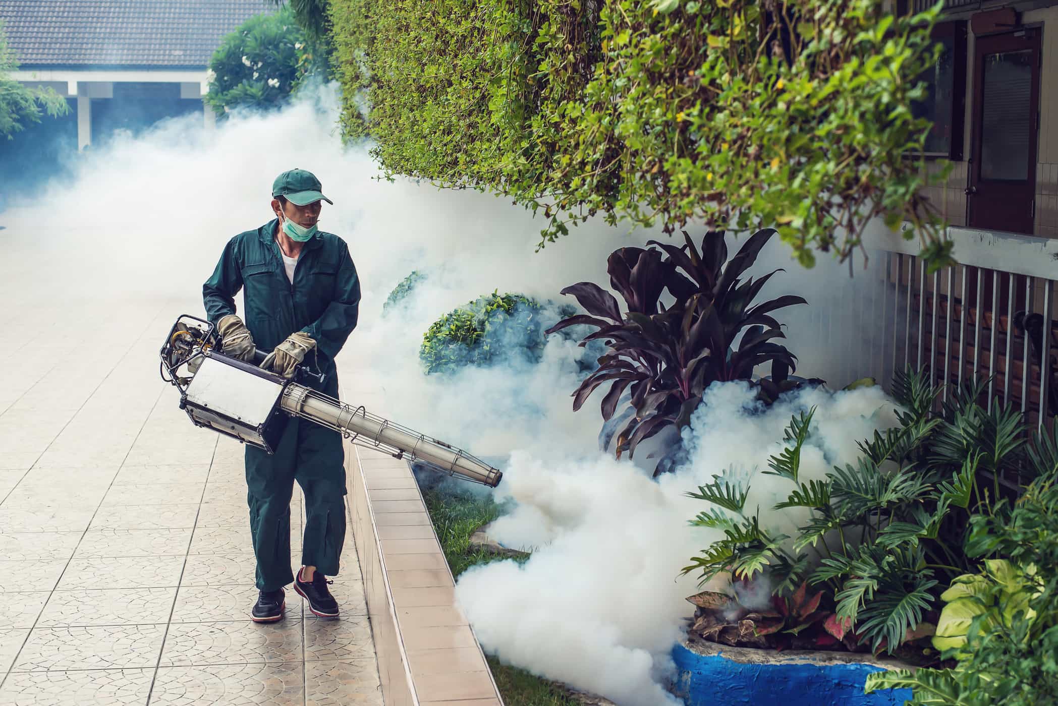 Awas, Ini Bahayanya Kalau Kita Menghirup Gas Fogging Nyamuk