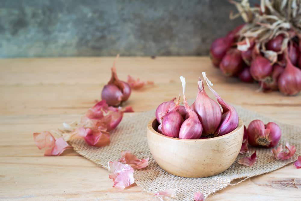 5 Manfaat Bawang Merah untuk Kesehatan, Termasuk Meningkatkan Sistem Imun