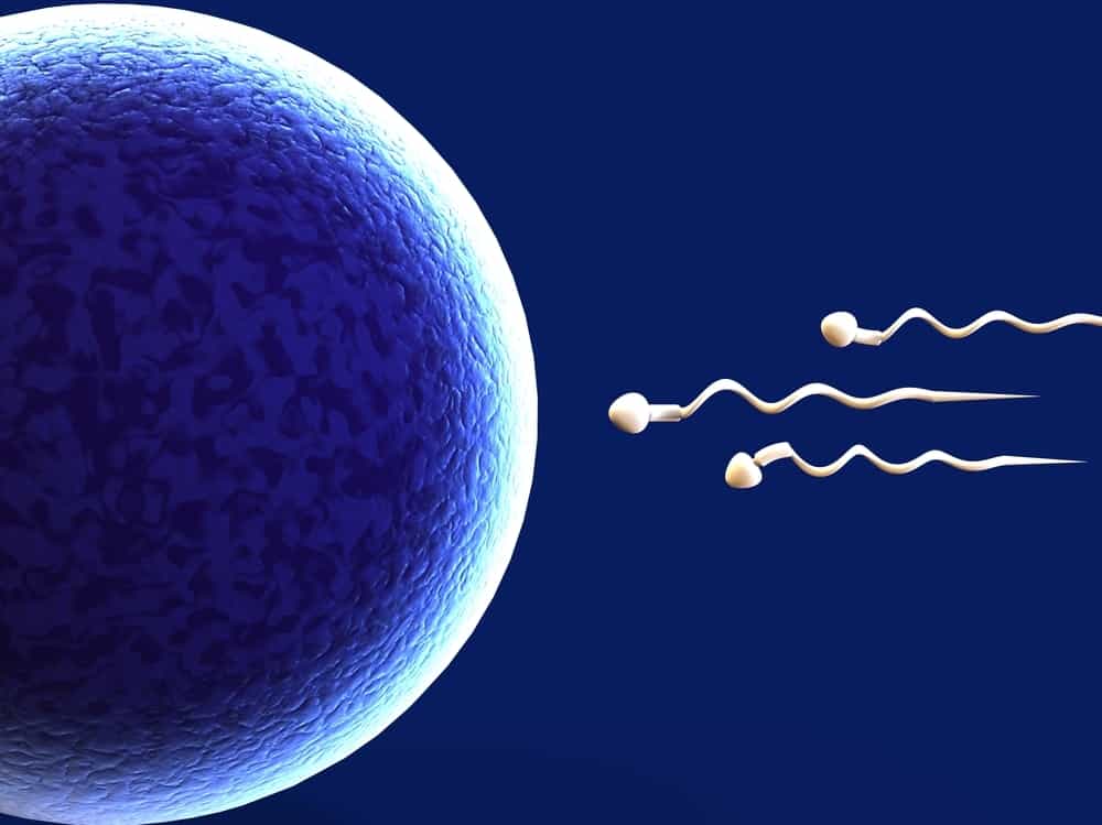 Mengenal Spermisida, Alat Kontrasepsi untuk Membunuh Sperma