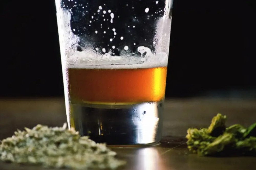 Ganja atau Alkohol, Mana yang Lebih Berbahaya?