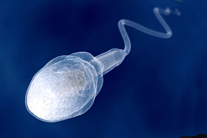 9 Fakta Mengenai Sperma yang Perlu Anda Ketahui