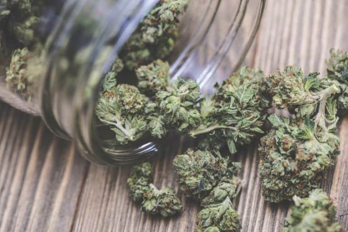 memasak daun ganja