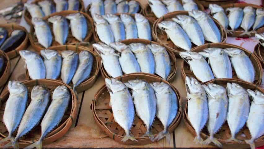 Manfaat dan Risiko Makan Ikan Asin yang Perlu Diwaspadai