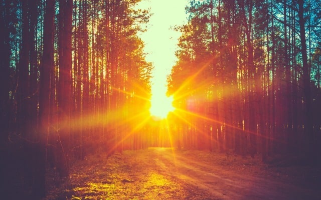 Sinar Matahari Pagi, Siang, dan Sore: Mana yang Paling Sehat?