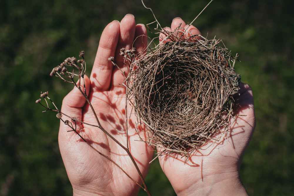 Empty Nest Syndrome, Perasaan Hampa Saat Anak Pergi dari Rumah