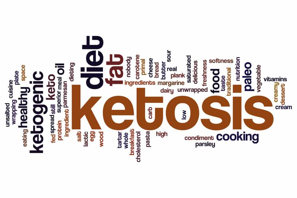 Diet Ketosis Saat Tubuh Memakai Lemak Sebagai Energi